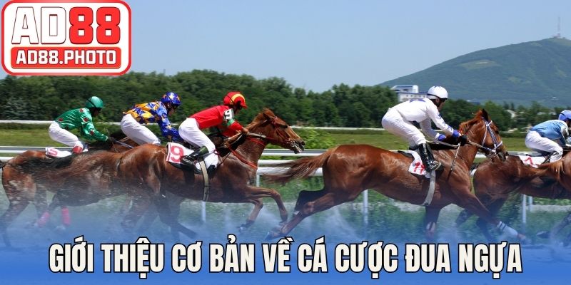 Giới thiệu cơ bản về cá cược đua ngựa